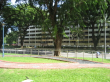 ang-mo-kio-avenue-3 photo thumbnail #15